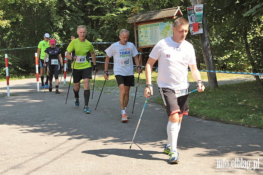 Puchar wiata Nordic Walking 2016, fot. 118