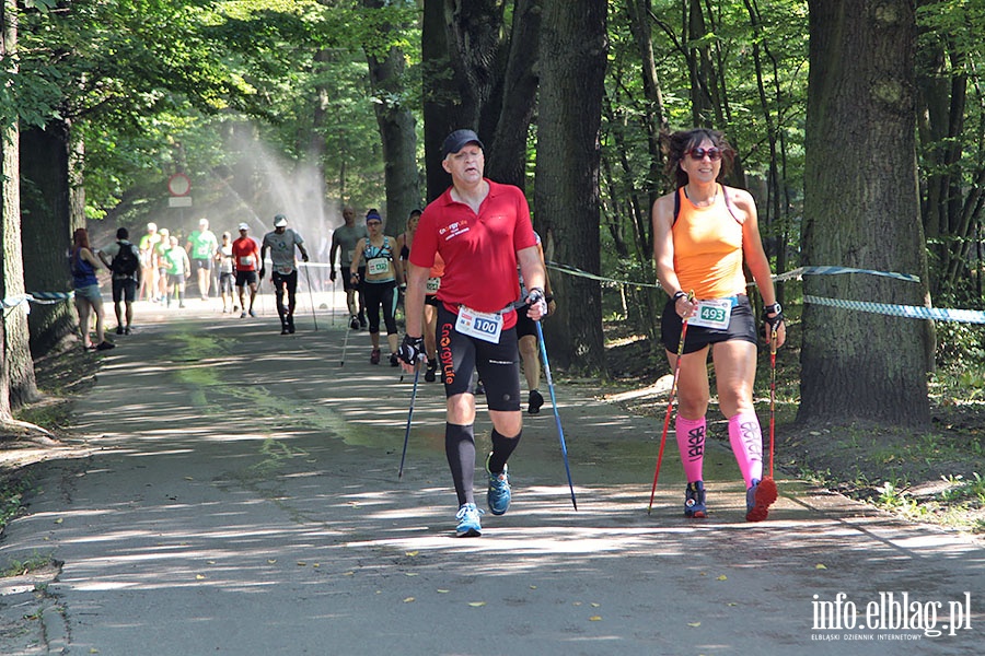 Puchar Świata Nordic Walking 2016, fot. 121