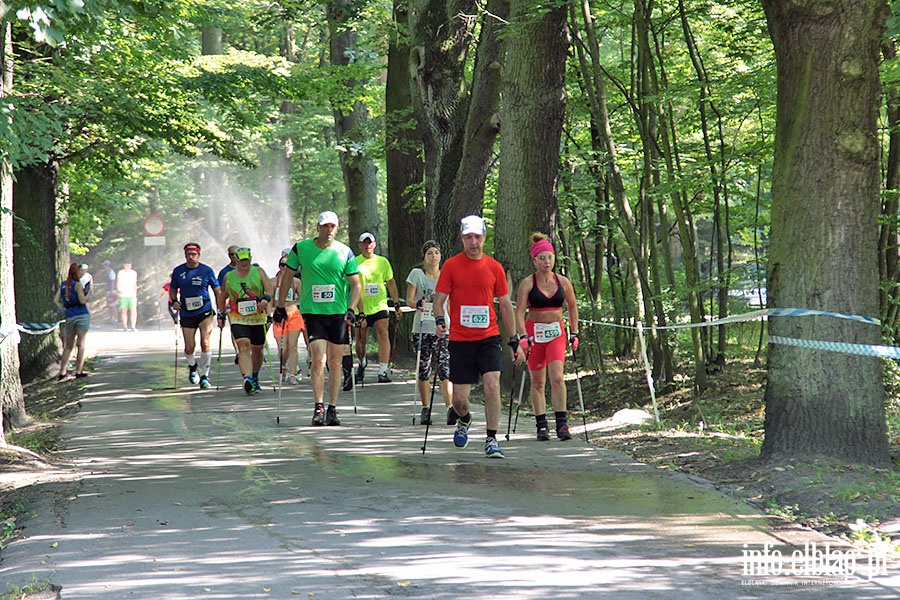 Puchar Świata Nordic Walking 2016, fot. 124