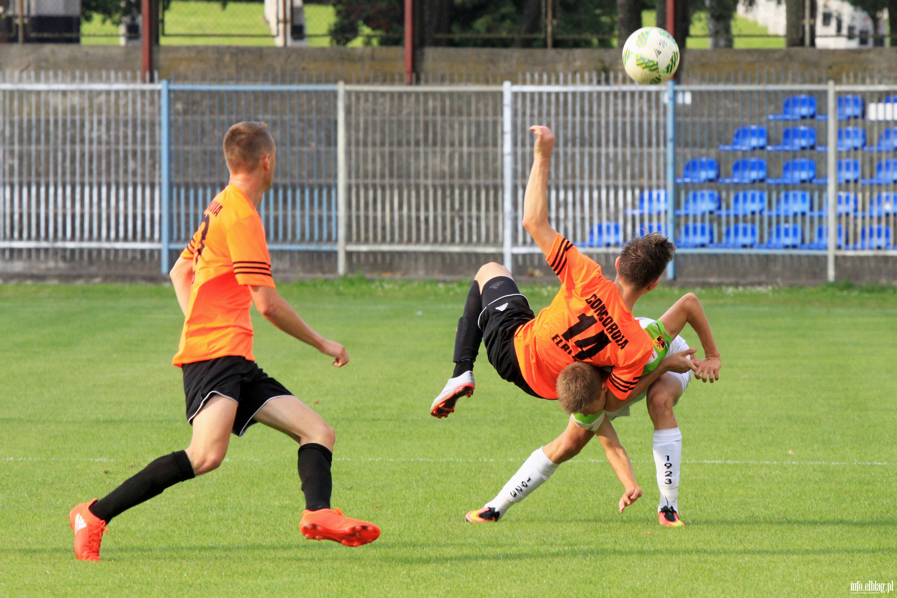 Concordia Elblg - Lechia Tomaszw Mazowiecki, fot. 31