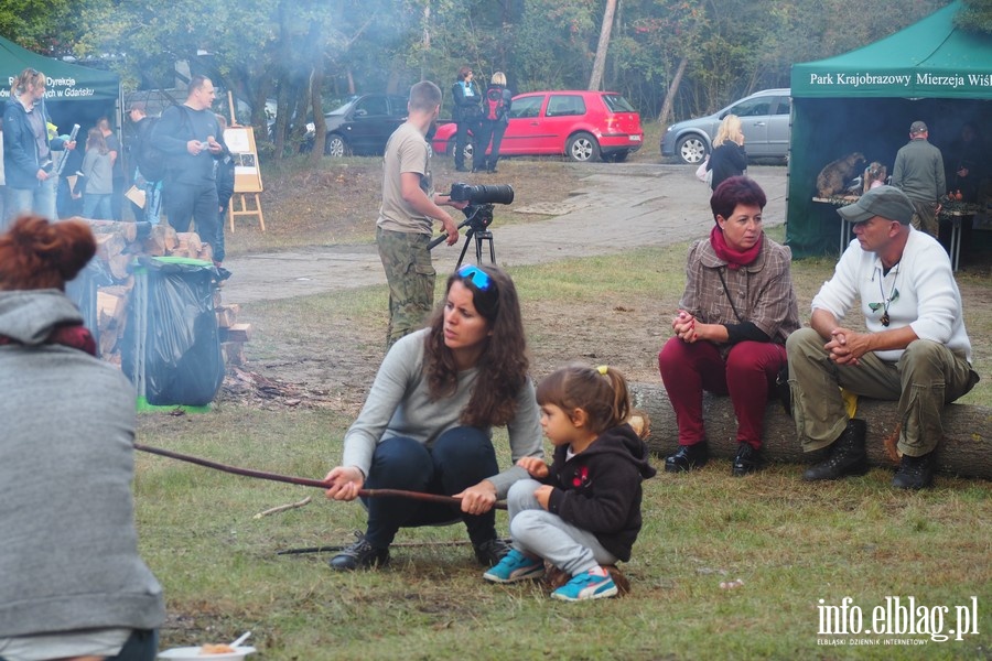 IV Ptasi Piknik w Krynicy Morskiej, fot. 16