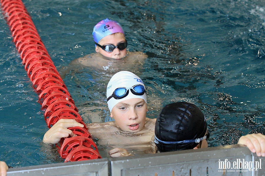 Otylia Swim Tour, fot. 44