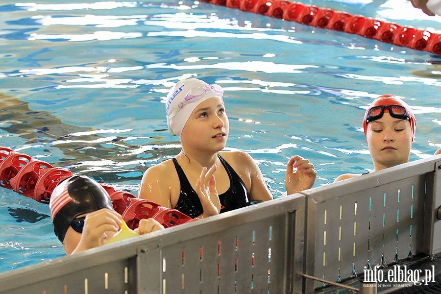 Otylia Swim Tour, fot. 48