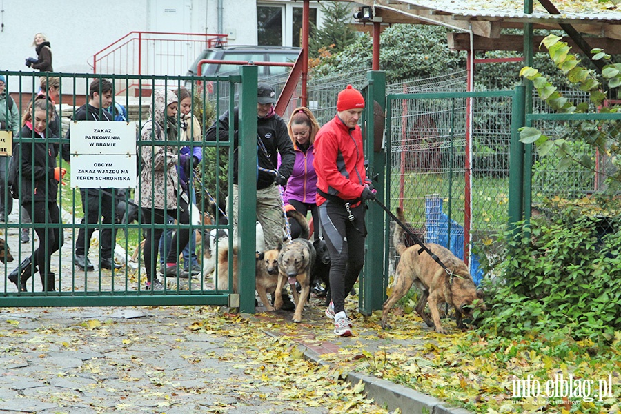 Bieg na 6 łap, fot. 19