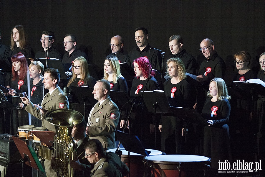 Koncert Radosna Niepodległość, fot. 31