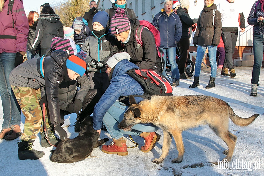 Bieg na 6 łap, fot. 5