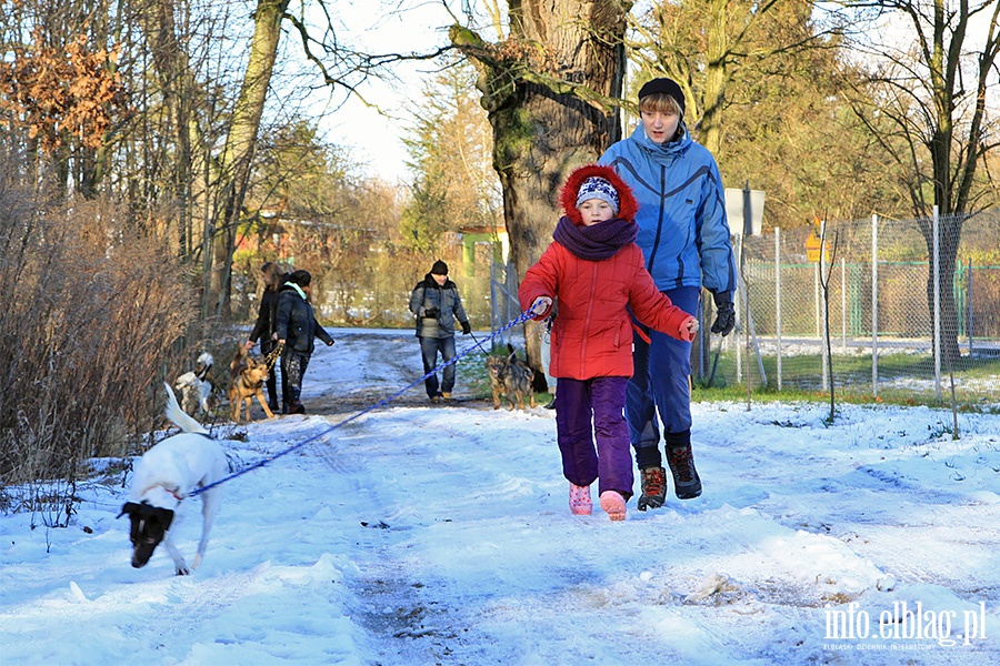Bieg na 6 łap, fot. 17