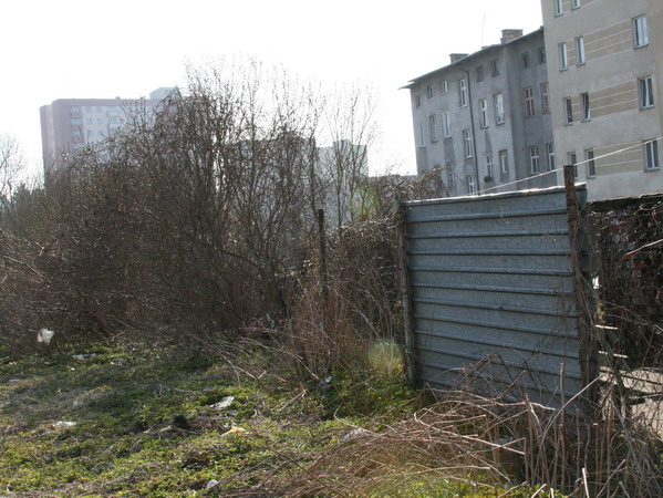 Pierwszy dzie akcji 