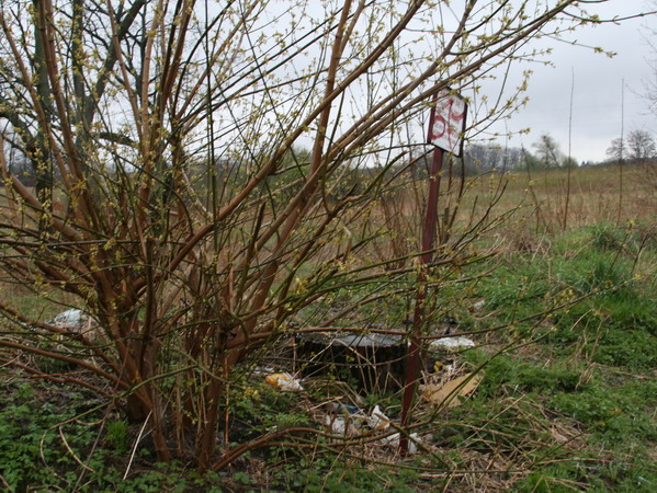 Patrol ze Stra Miejsk - 19 kwietnia 2008r., fot. 4