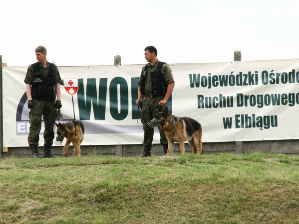 Majwka 2008 z Wojewdzkim Orodkiem Ruchu Drogowego w , fot. 44