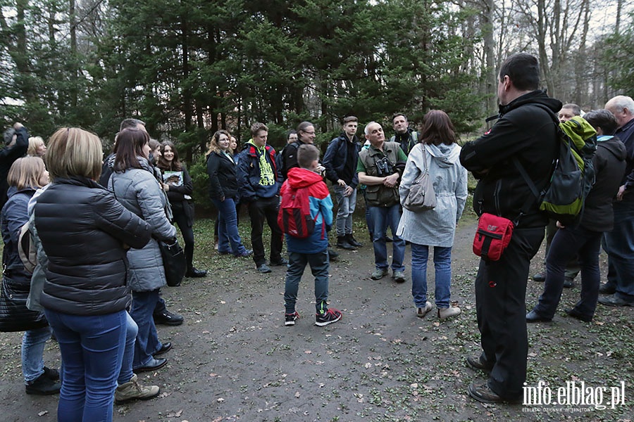 Noc Sów Nadlesnictwo Elbląg, fot. 39