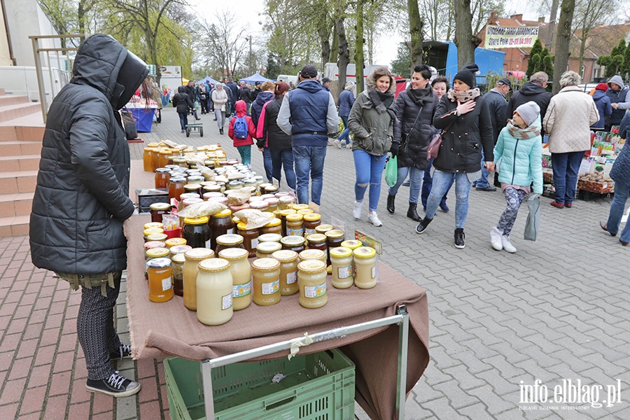 Wiosenne Targi Ogrodnicze w Starym Polu, fot. 3