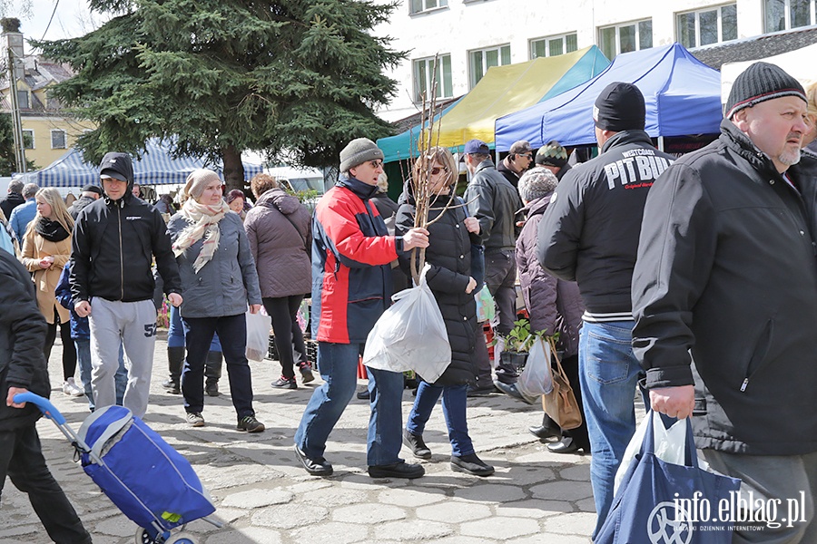 Wiosenne Targi Ogrodnicze w Starym Polu, fot. 38