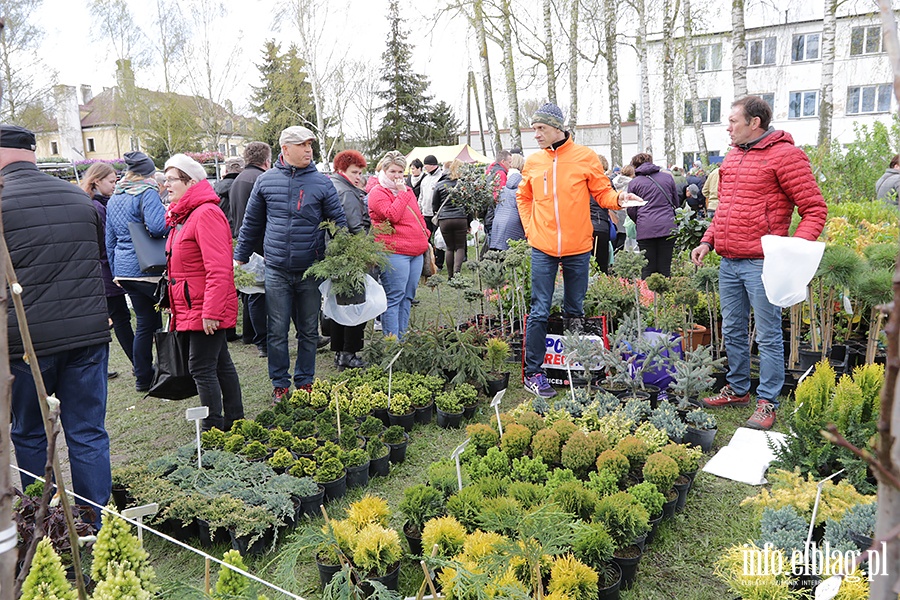 Wiosenne Targi Ogrodnicze w Starym Polu, fot. 50