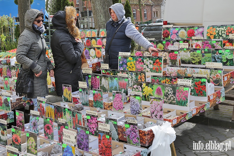 Wiosenne Targi Ogrodnicze w Starym Polu, fot. 94