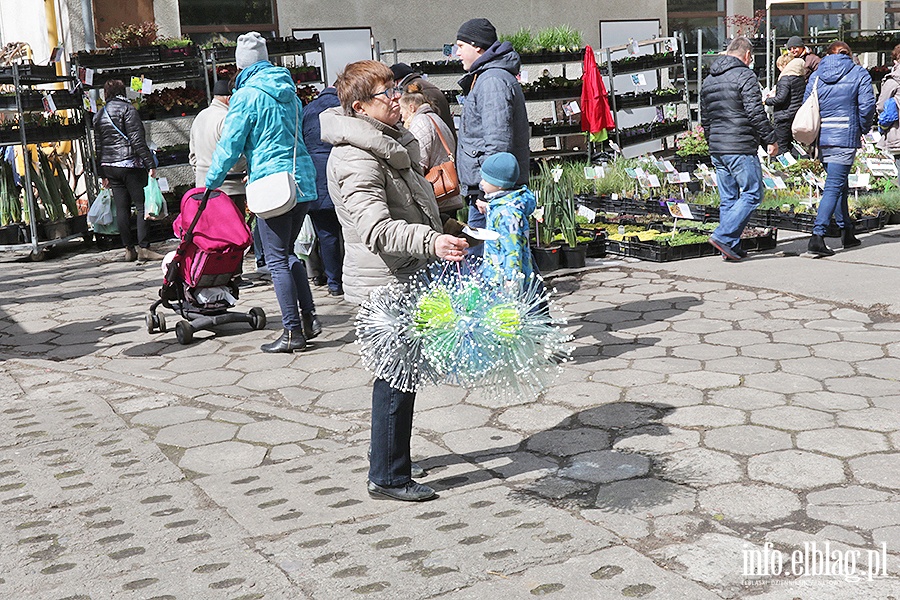 Wiosenne Targi Ogrodnicze w Starym Polu, fot. 103