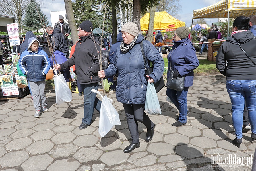 Wiosenne Targi Ogrodnicze w Starym Polu, fot. 104