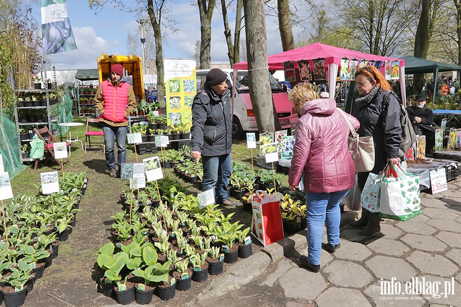 Wiosenne Targi Ogrodnicze w Starym Polu, fot. 107