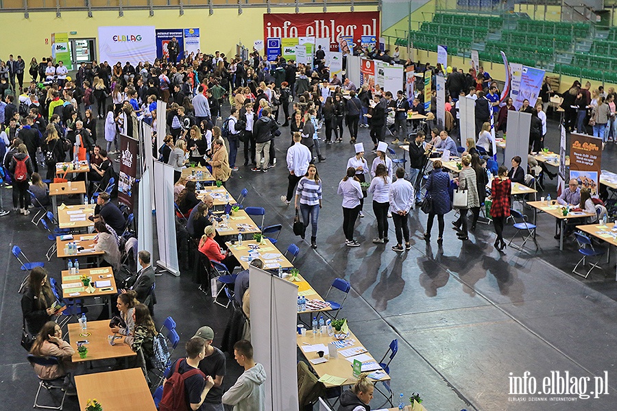 Targi Pracy i Edukacji, fot. 104