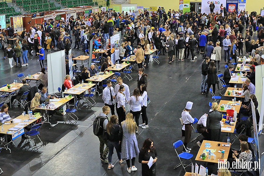 Targi Pracy i Edukacji, fot. 107