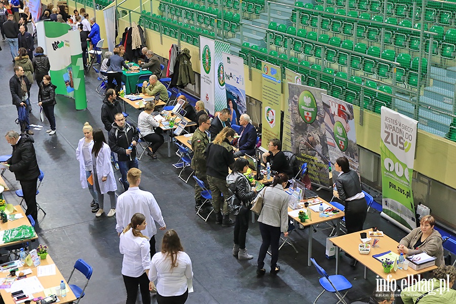 Targi Pracy i Edukacji, fot. 109