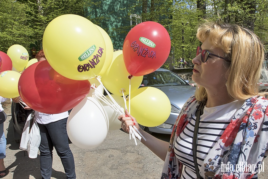 PO i KOD zorganizowali piknik, fot. 2