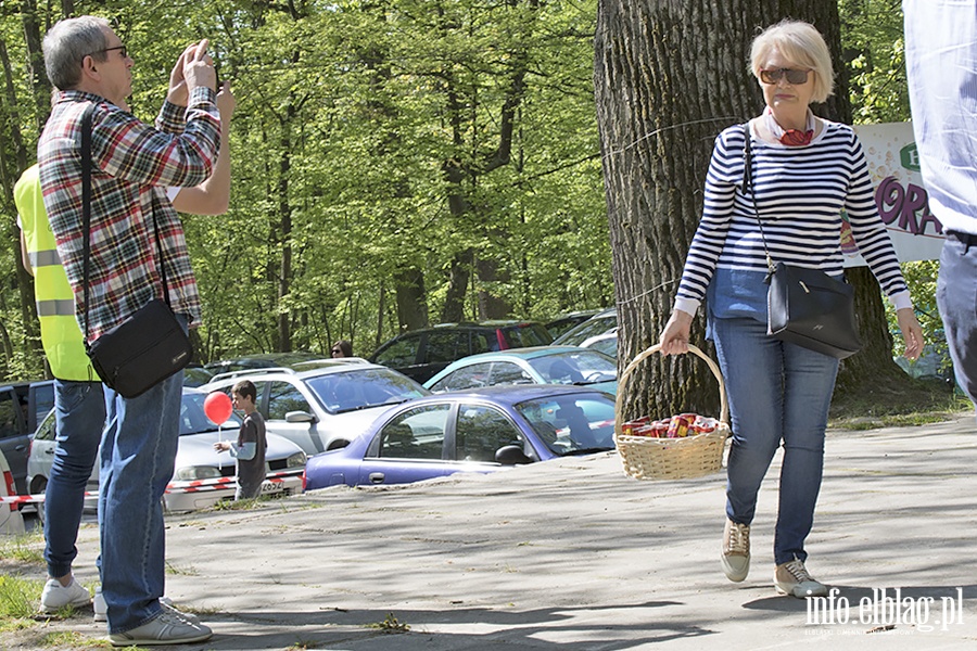 PO i KOD zorganizowali piknik, fot. 13