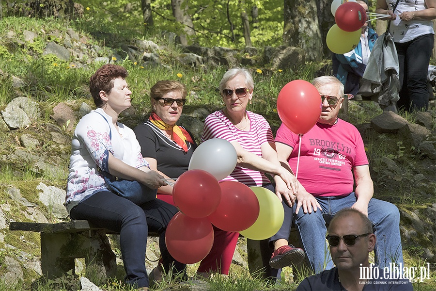 PO i KOD zorganizowali piknik, fot. 14