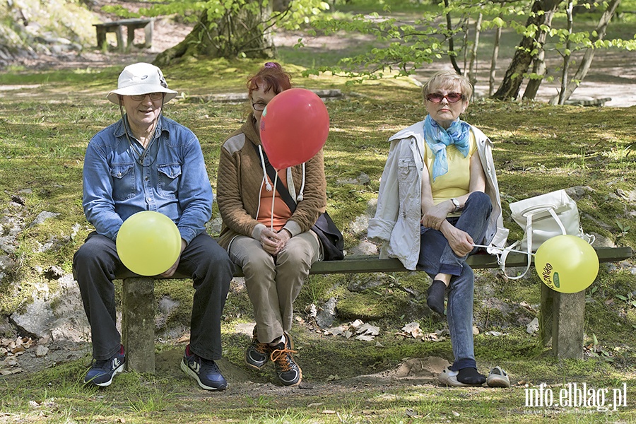 PO i KOD zorganizowali piknik, fot. 17