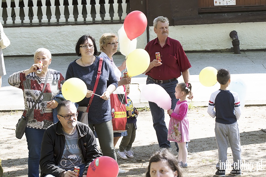 PO i KOD zorganizowali piknik, fot. 22