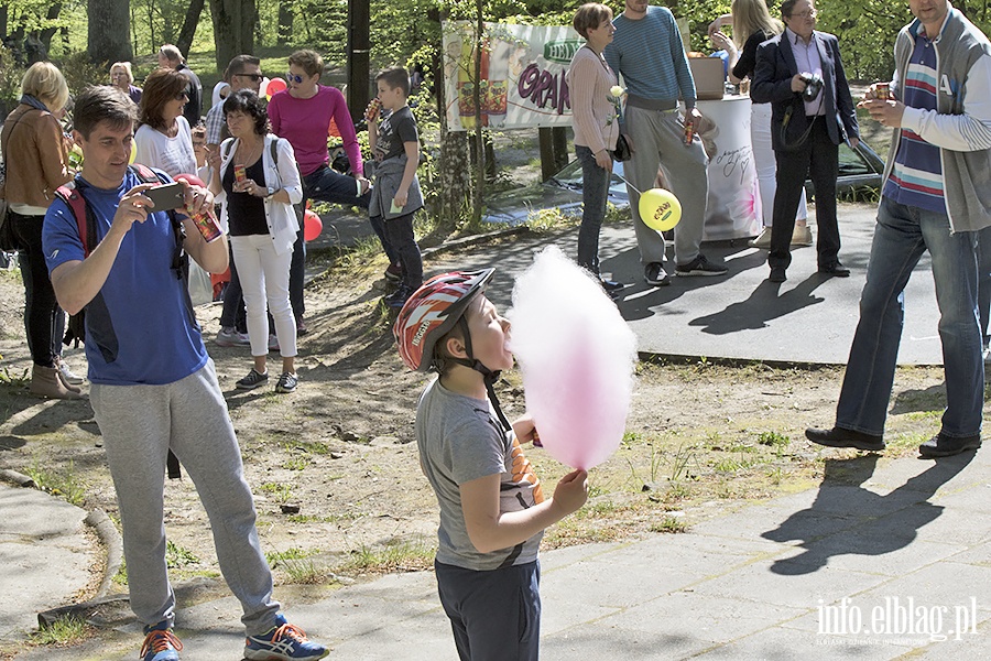 PO i KOD zorganizowali piknik, fot. 33