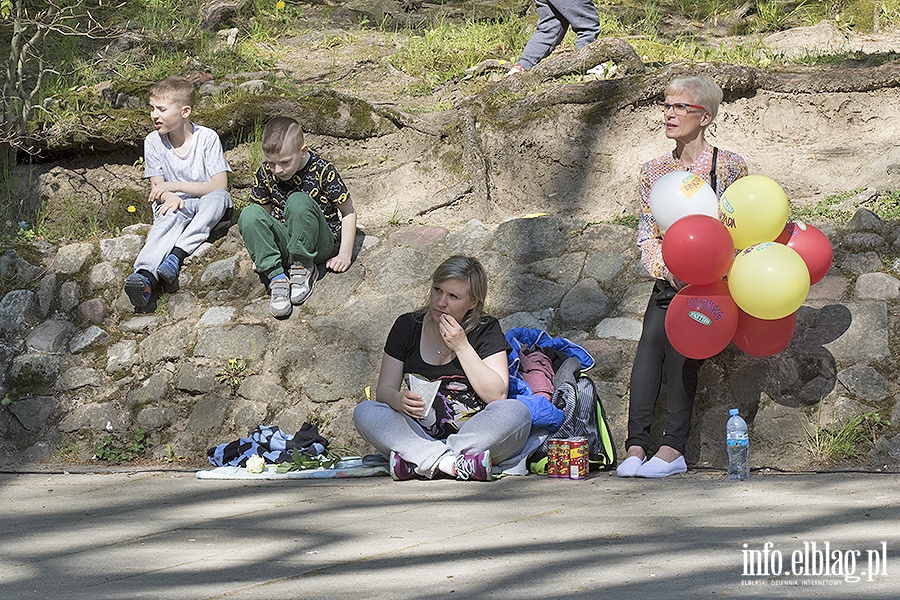 PO i KOD zorganizowali piknik, fot. 40