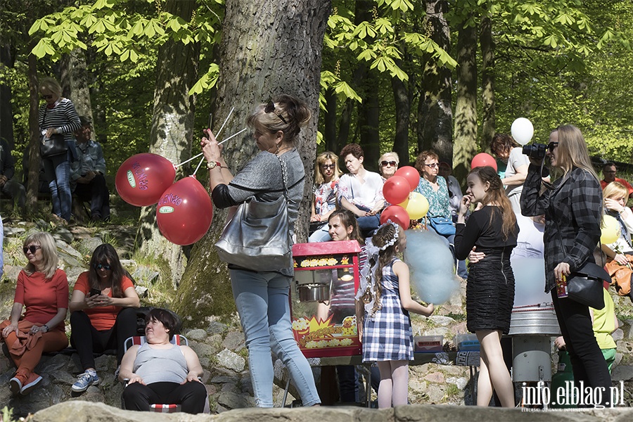 PO i KOD zorganizowali piknik, fot. 44