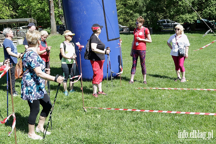 Festyn "Zdrowo na sportowo", fot. 34