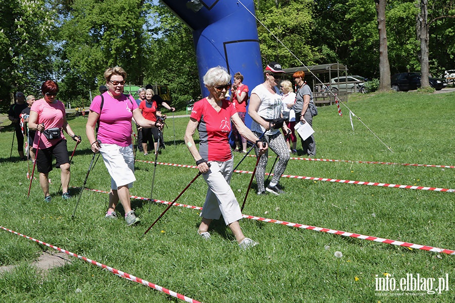 Festyn "Zdrowo na sportowo", fot. 38