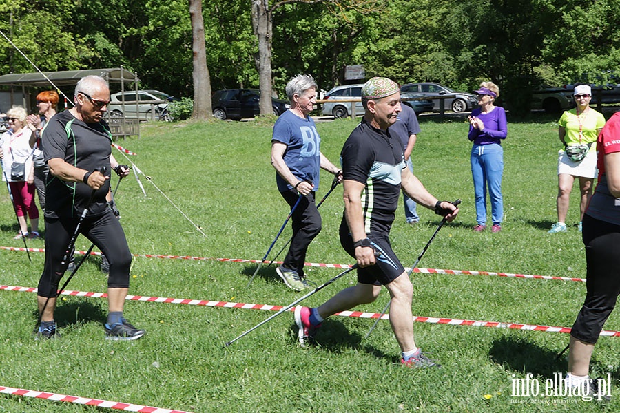 Festyn "Zdrowo na sportowo", fot. 41