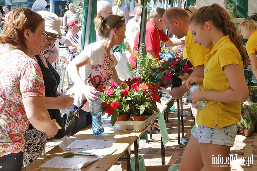 X Elblaskie Dni Recyklingu, fot. 20