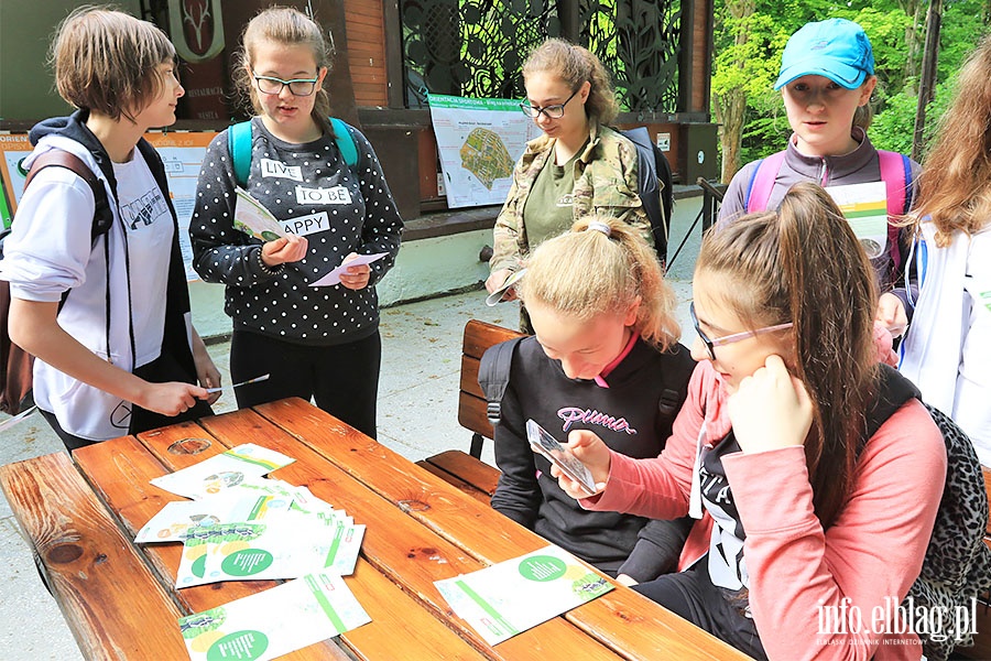 Biegi na orientację, fot. 6