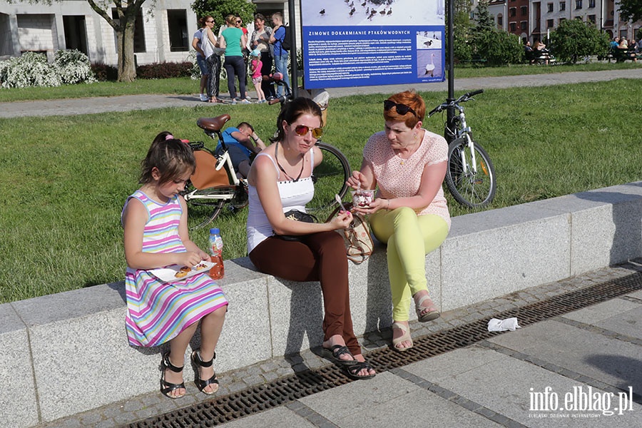 Festiwal Smaków Food Truck drugi dzień., fot. 29