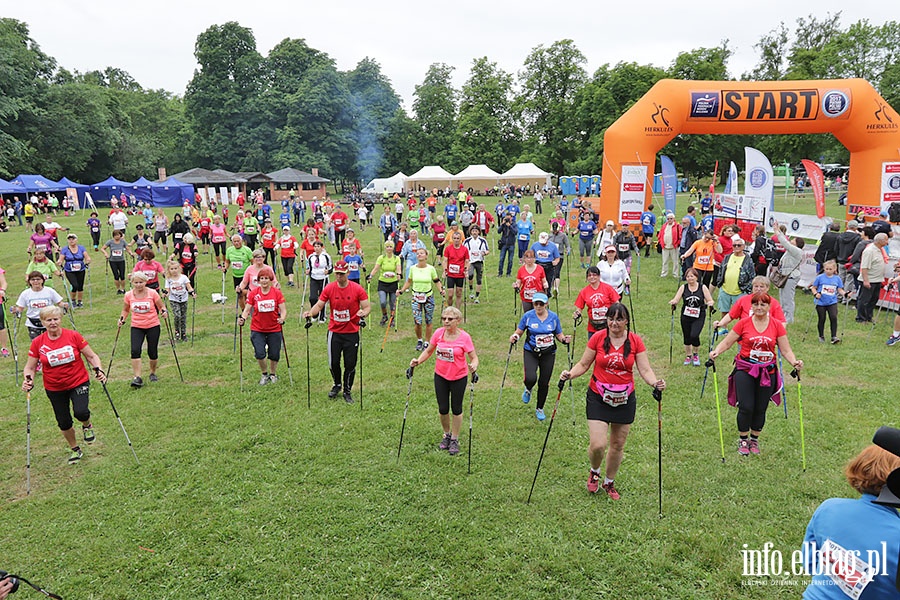 Puchar Polski Nordic Walking, fot. 18