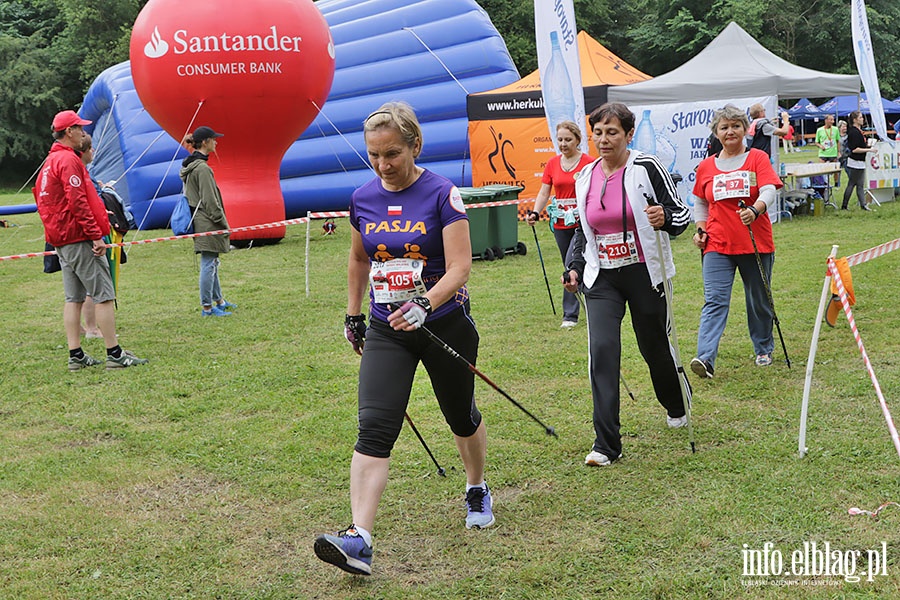 Puchar Polski Nordic Walking, fot. 65