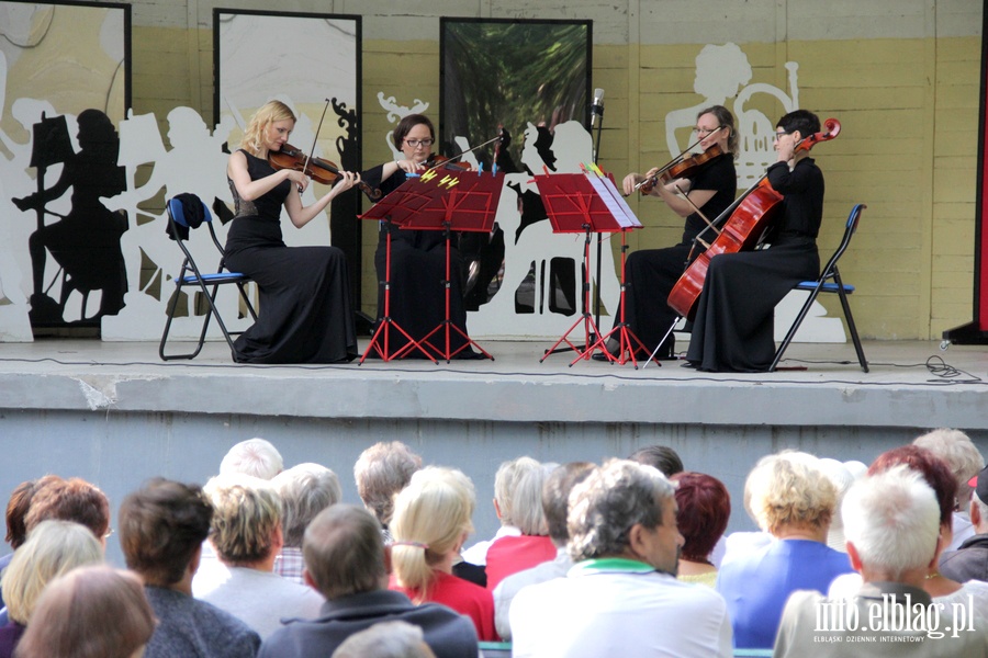 Drugi koncert XX Letniego Salonu Muzycznego Bażantarnia 2017, fot. 9
