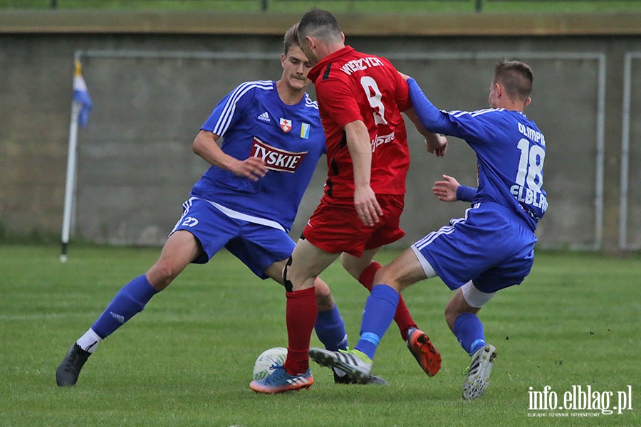 Olimpia Elblg-Wierzyca sparing, fot. 31