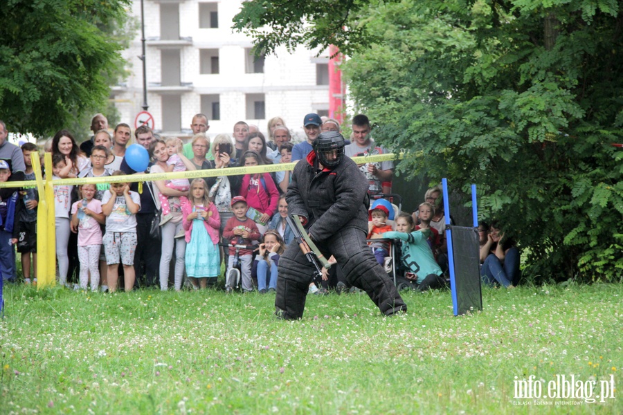 Festyn Policyjny 2017 , fot. 25