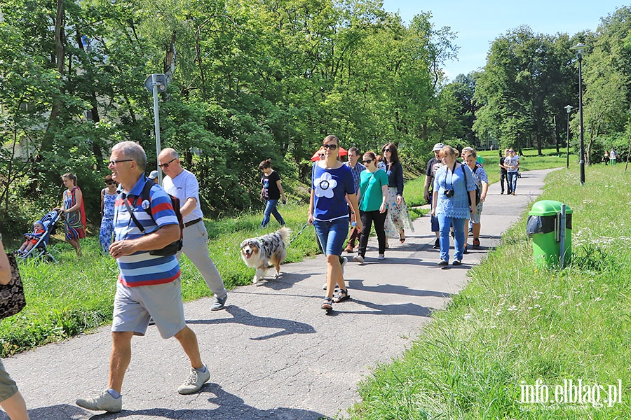 Spacer z przewodnikiem szlakiem Kumieli, fot. 26