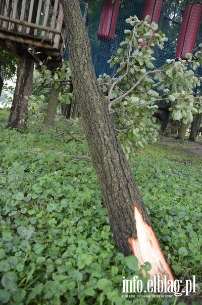 Skutki piątkowej burzy, fot. 4