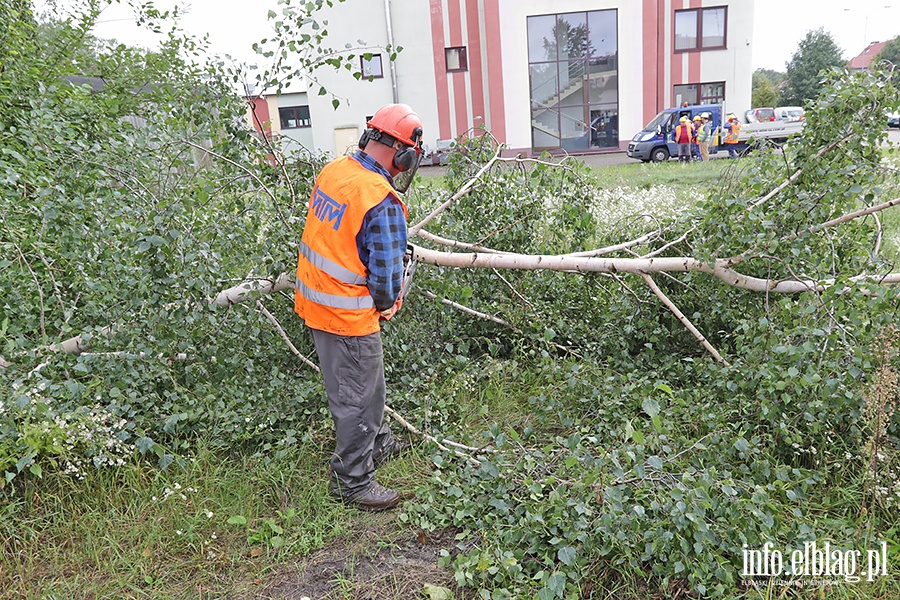 Ruszya budowa wiaduktu na Zatorze., fot. 22
