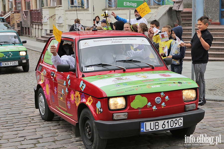 Rajd w obronie pszczół, fot. 16