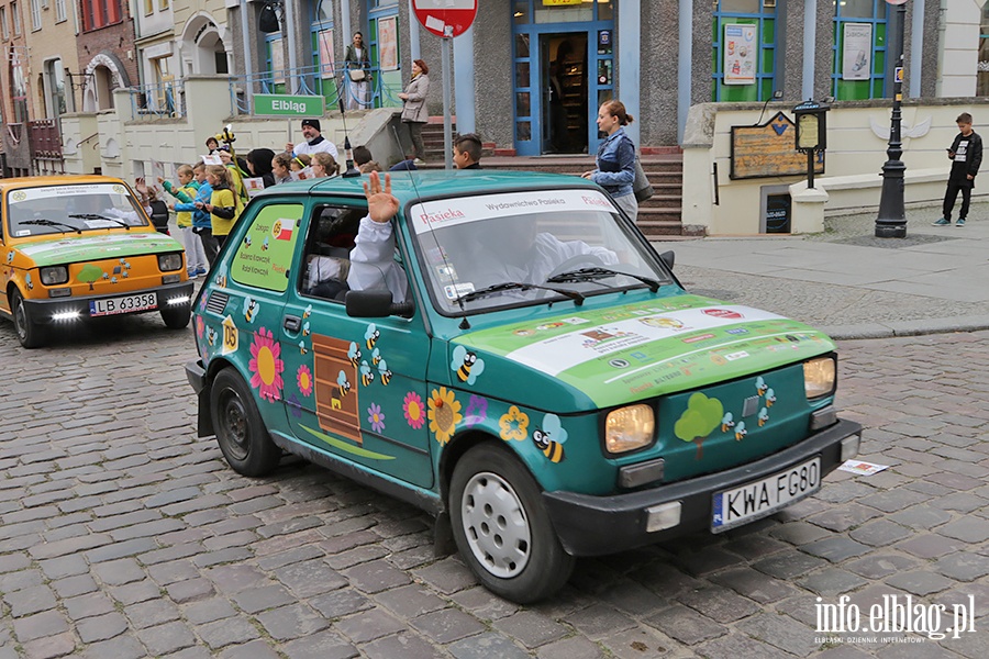 Rajd w obronie pszczół, fot. 18