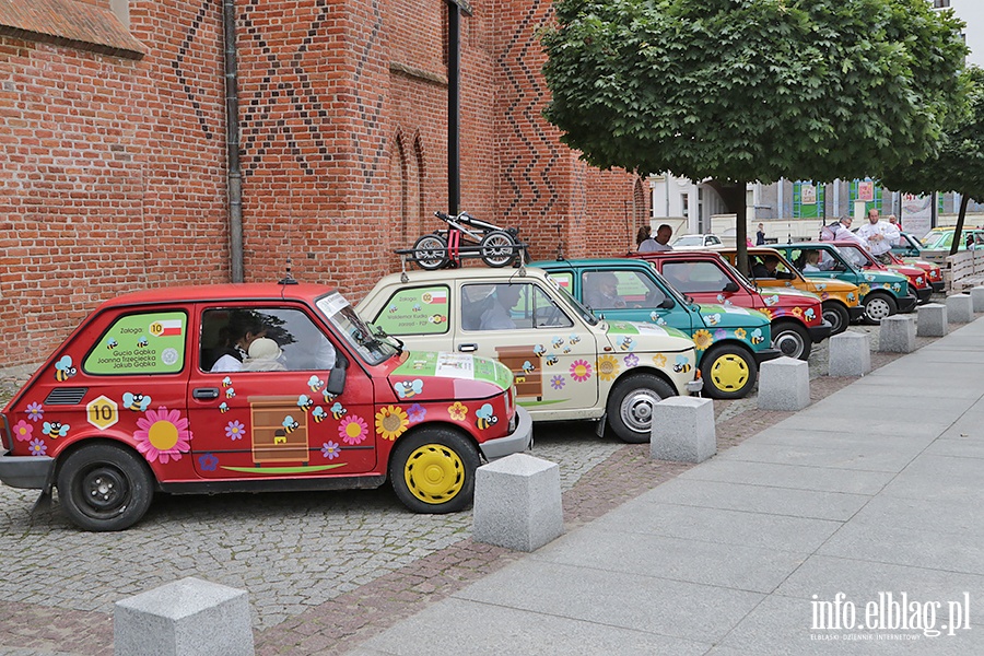 Rajd w obronie pszczół, fot. 48
